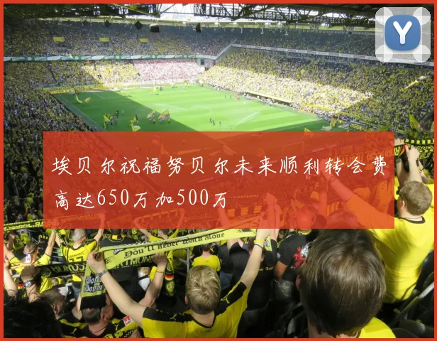 埃贝尔祝福努贝尔未来顺利转会费高达650万加500万