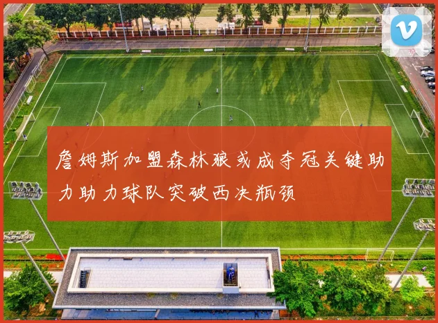 詹姆斯加盟森林狼或成夺冠关键助力助力球队突破西决瓶颈